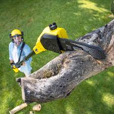 Best Lawn Watering Services  in Hrisburg, AR